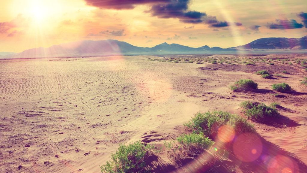 Sustainable Tourism in Los Cabos